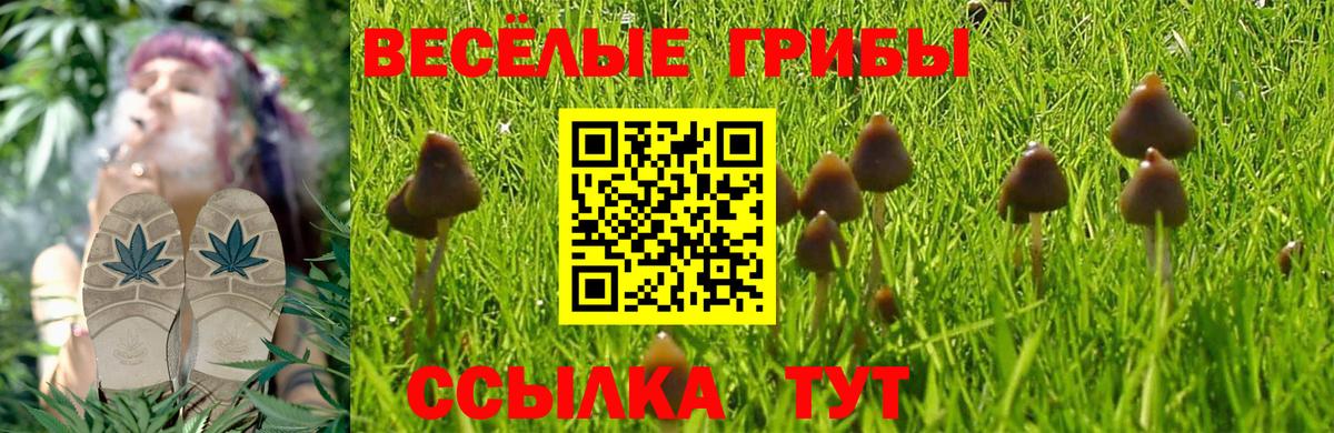 Псилоцибиновые грибы Psilocybe  Вход с VPN  Шарыпово  Псилоцибиновые грибы ЛСД 