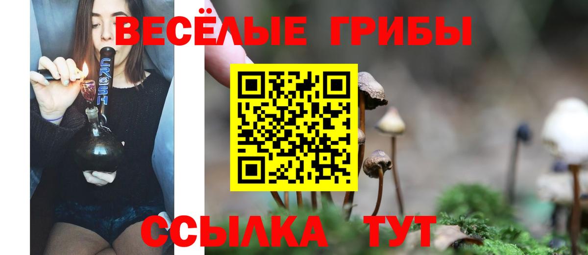 Галлюциногенные грибы ЛСД Шарыпово